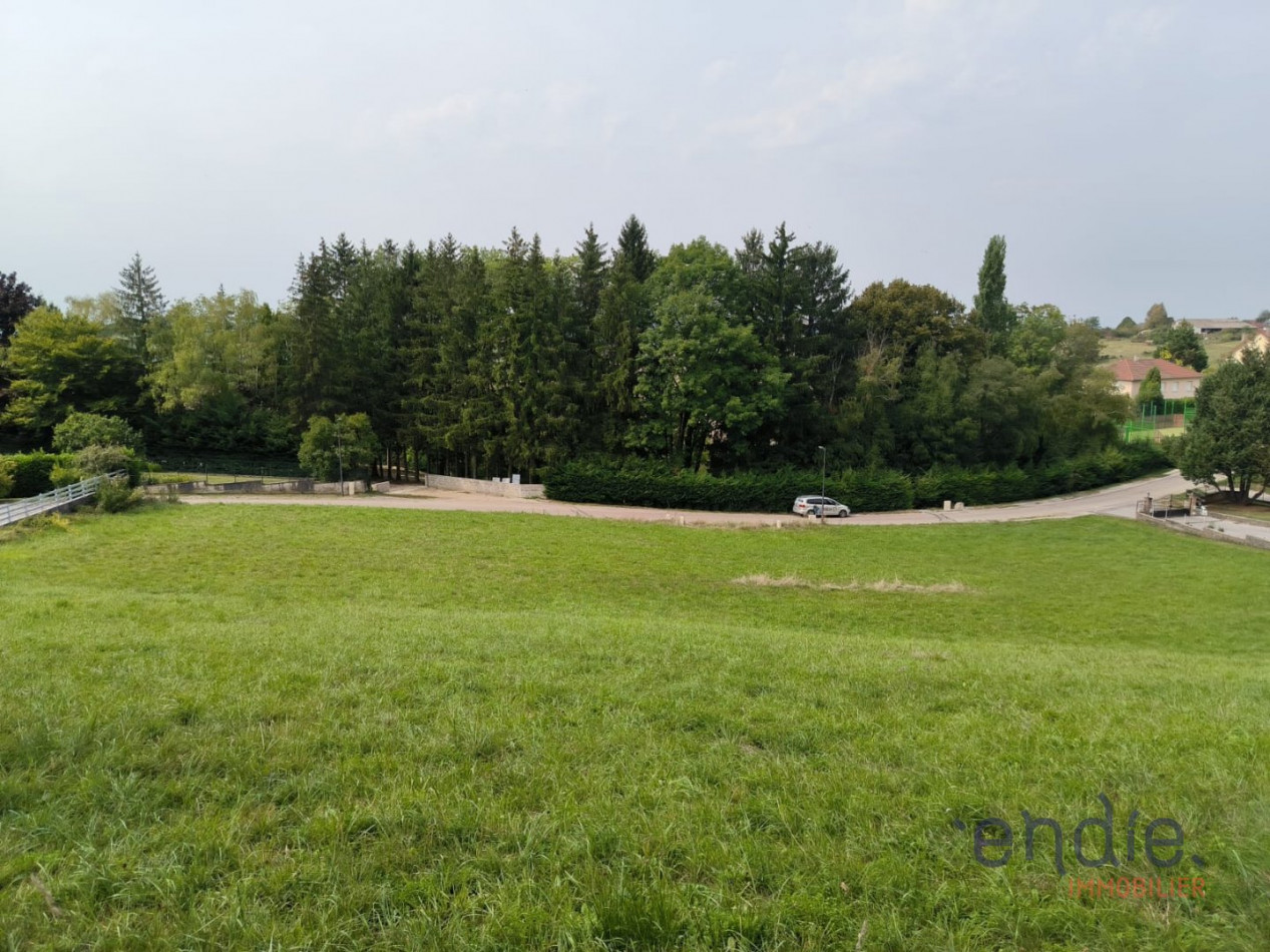 vente Terrain Pannessieres - Photo 4