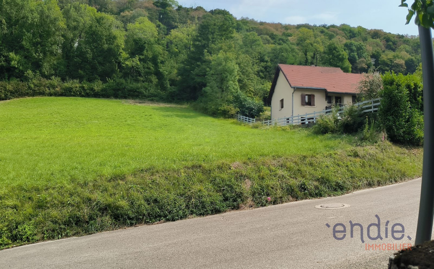 vente Terrain Pannessieres - Photo 3