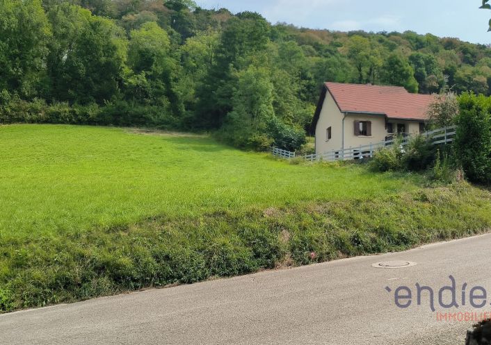 à vendre Terrain Pannessieres