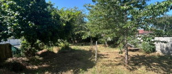 vente Maison Frasne