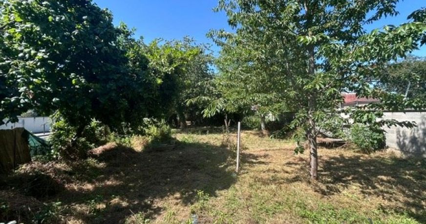 vente Maison Frasne