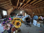 à vendre Maison Fouesnant