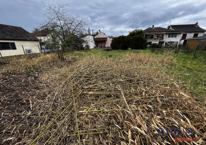 à vendre Maison Lamarche Sur Saone