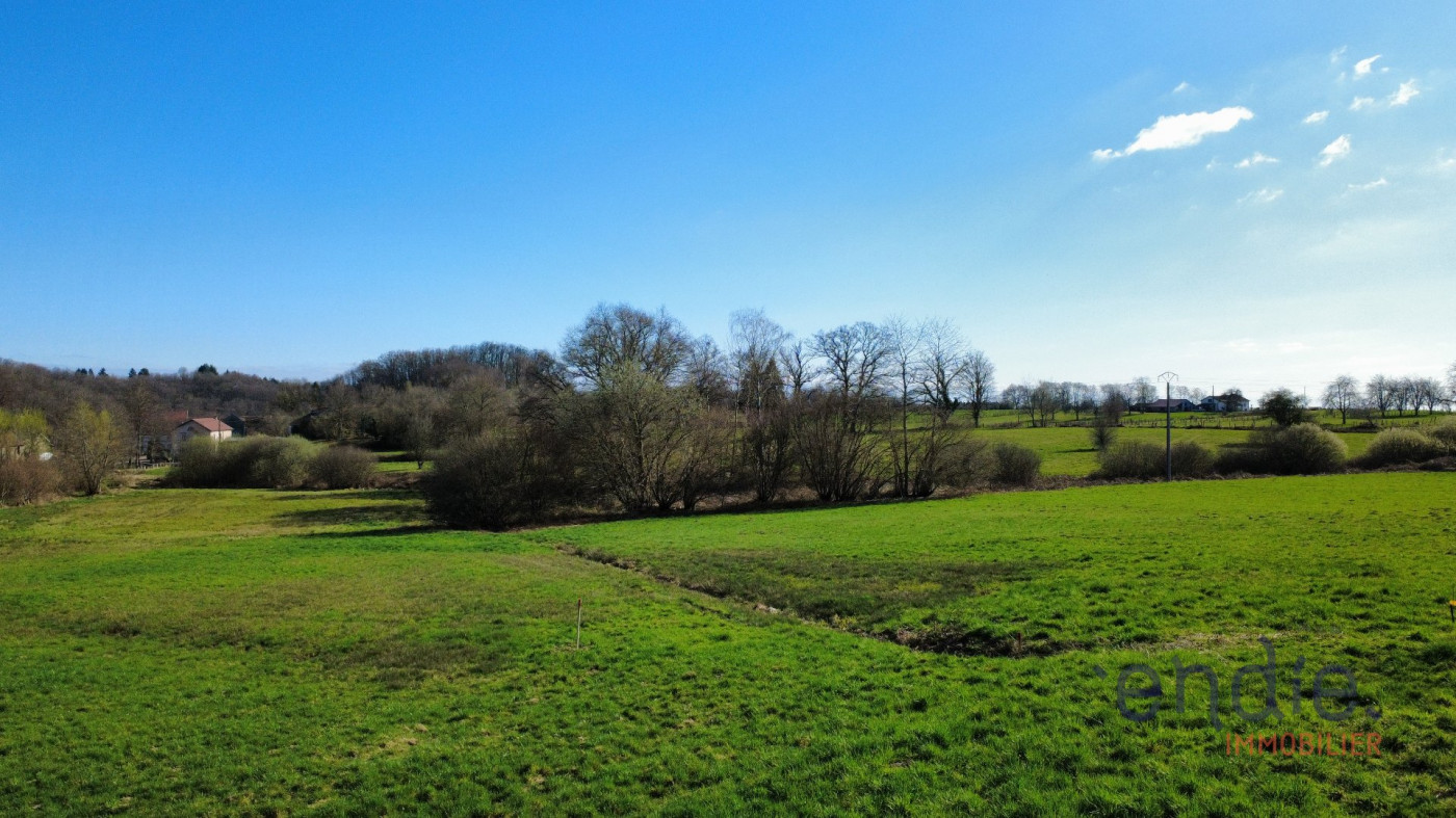 vente Terrain à aménager Belmont - Photo 3