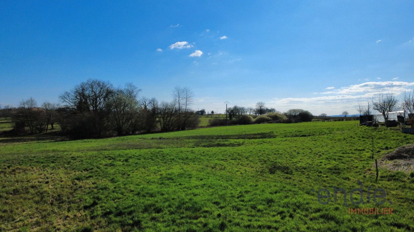 vente Terrain à aménager Belmont - Photo 6