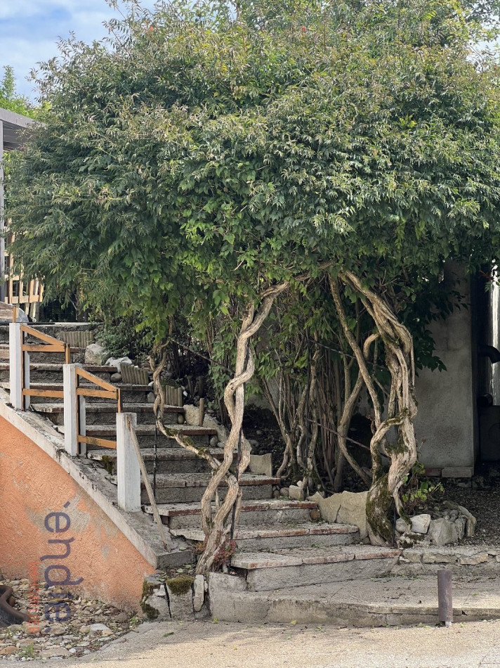 vente Maison Tavaux - Photo 3