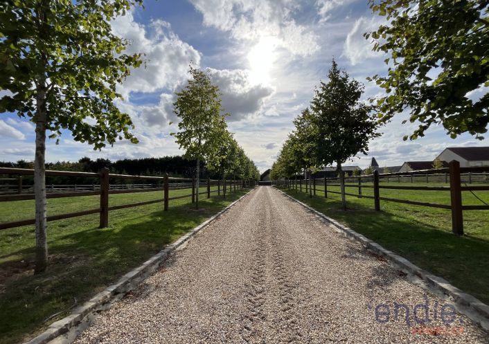 à vendre Haras / equestre Pacy Sur Eure
