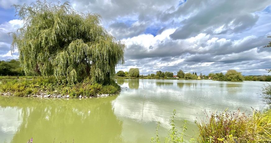 vente Maison Arpenans