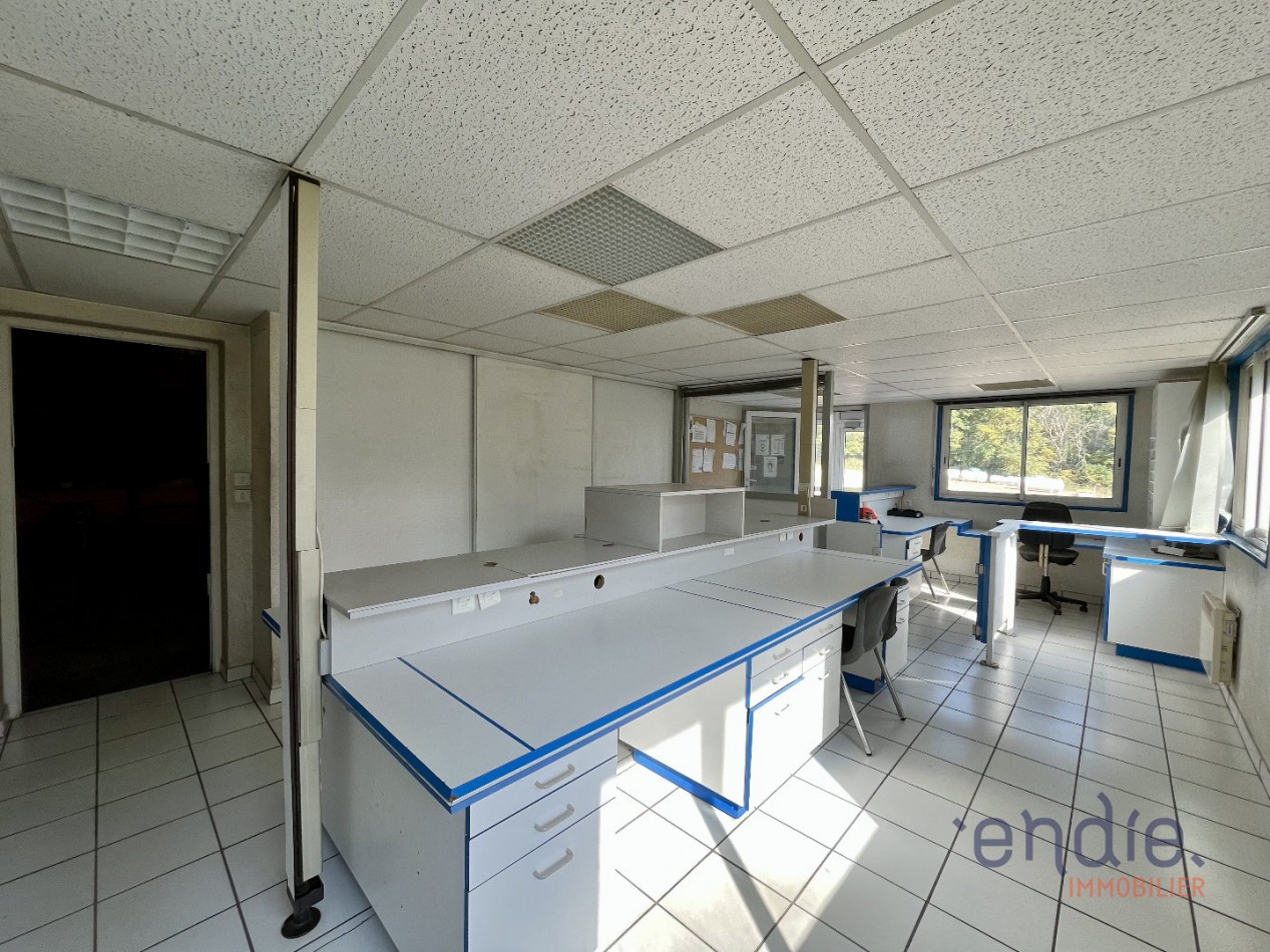 location Entrepots et bureaux Mantoche - Photo 3