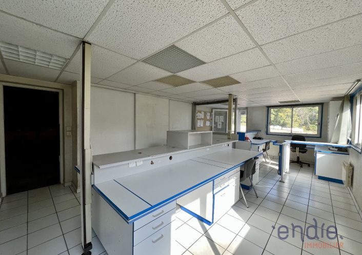 location Entrepots et bureaux Mantoche