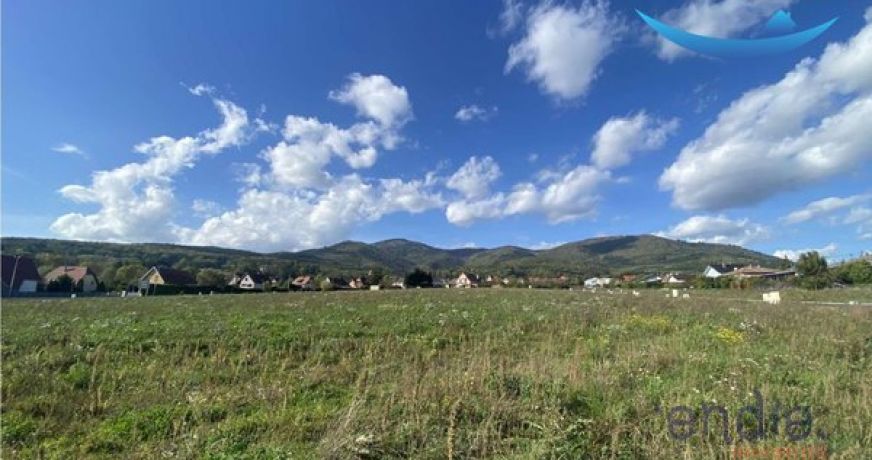 vente Appartement Wattwiller