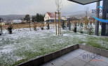 vente Appartement Wattwiller