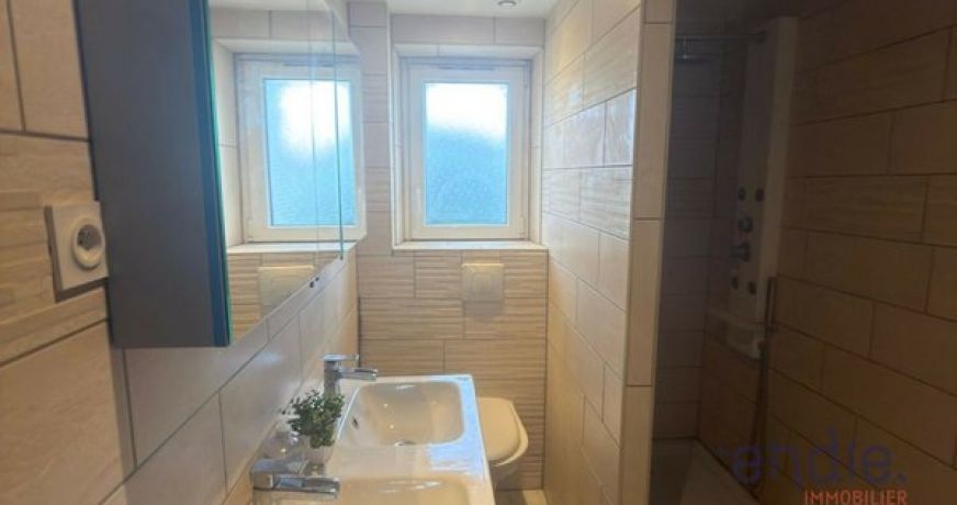 vente Maison Mulhouse