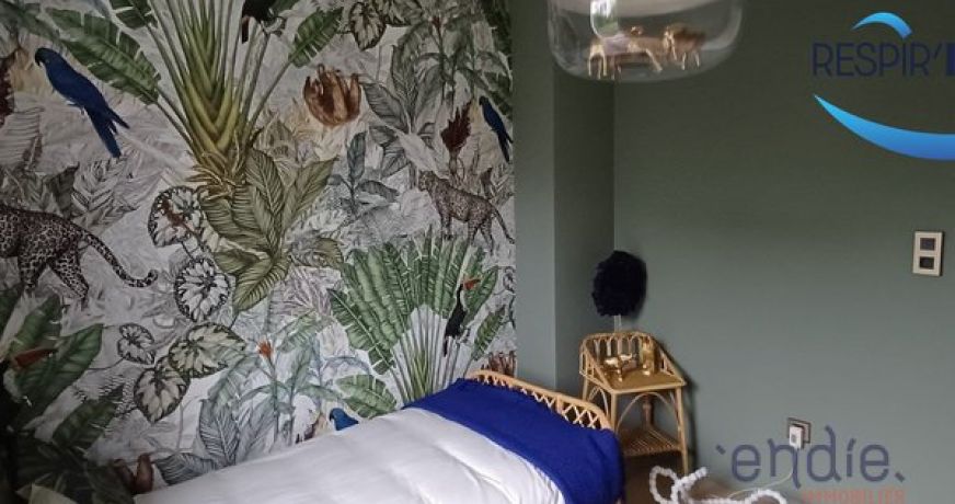 vente Appartement Soultzmatt