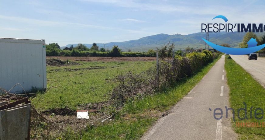 vente Terrain Colmar
