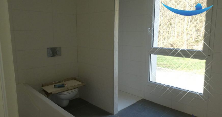 vente Maison Brunstatt Didenheim