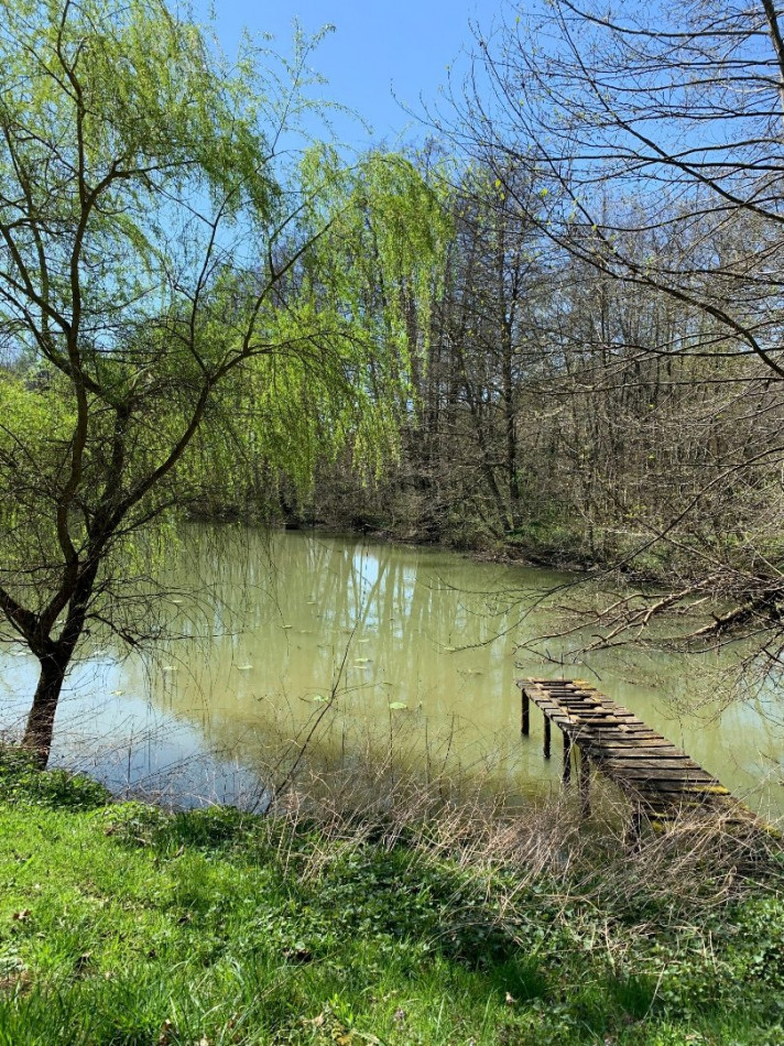 à vendre Maison à ossature bois Pressigny - Photo 2