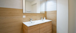 vente Appartement Altkirch