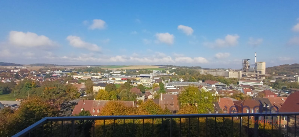 vente Appartement Altkirch - Photo 4
