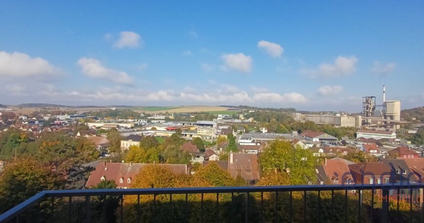 vente Appartement Altkirch