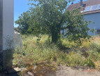 à vendre Maison Modenheim