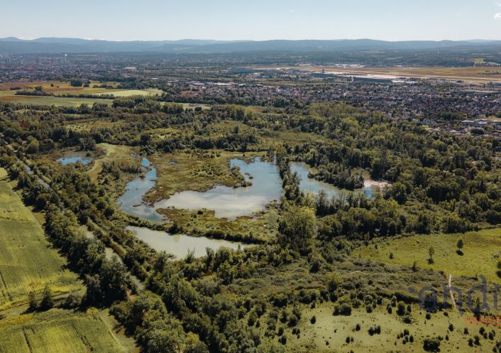 à vendre Appartement Rosenau