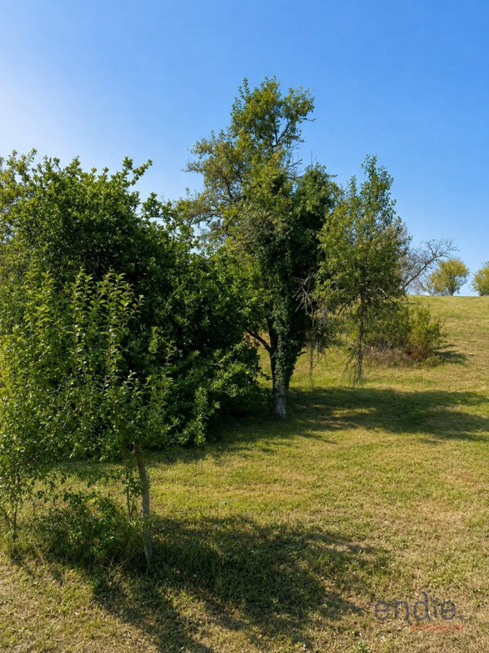 à vendre Terrain Marnay - Photo 1