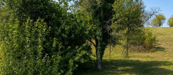 vente Terrain Marnay