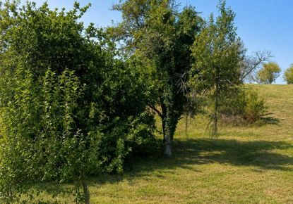 vente Terrain Gy