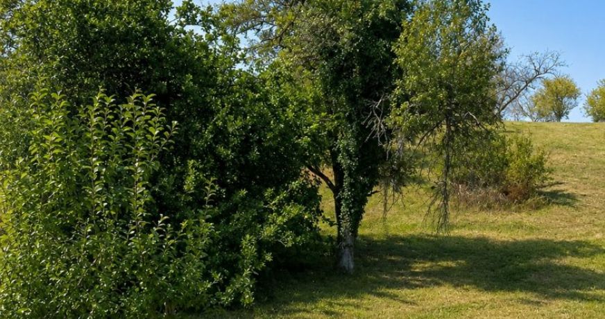 vente Terrain Marnay