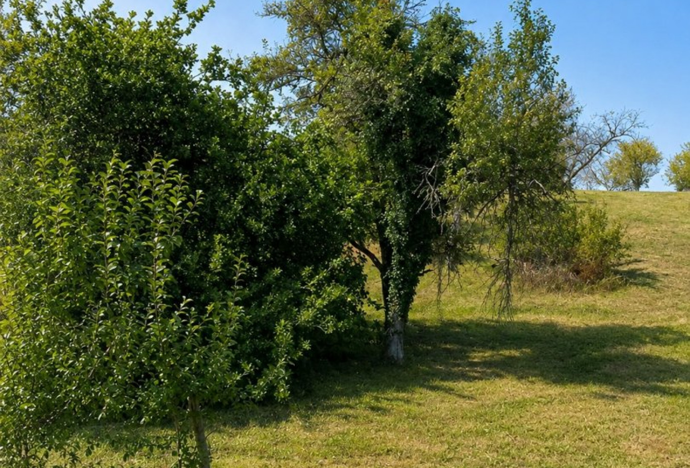 vente Terrain Marnay - Photo 1