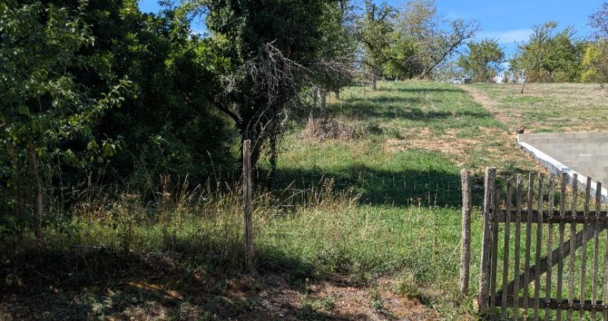 vente Terrain Gy