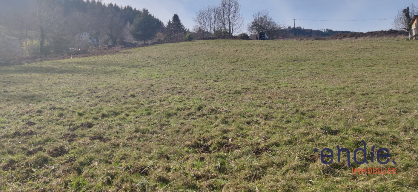 vente Terrain Brassac - Photo 1