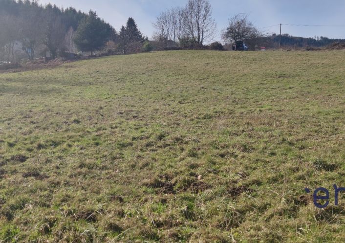 vente Terrain Brassac