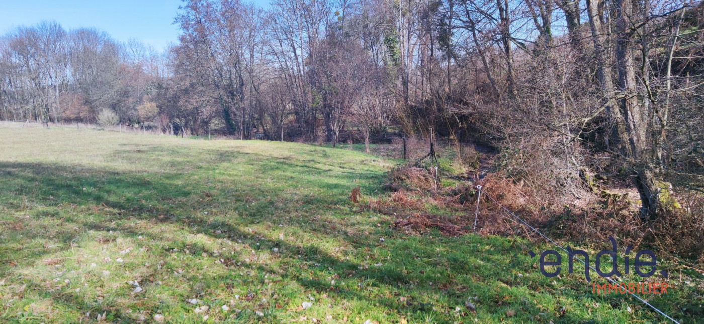 vente Terrain Brassac - Photo 5