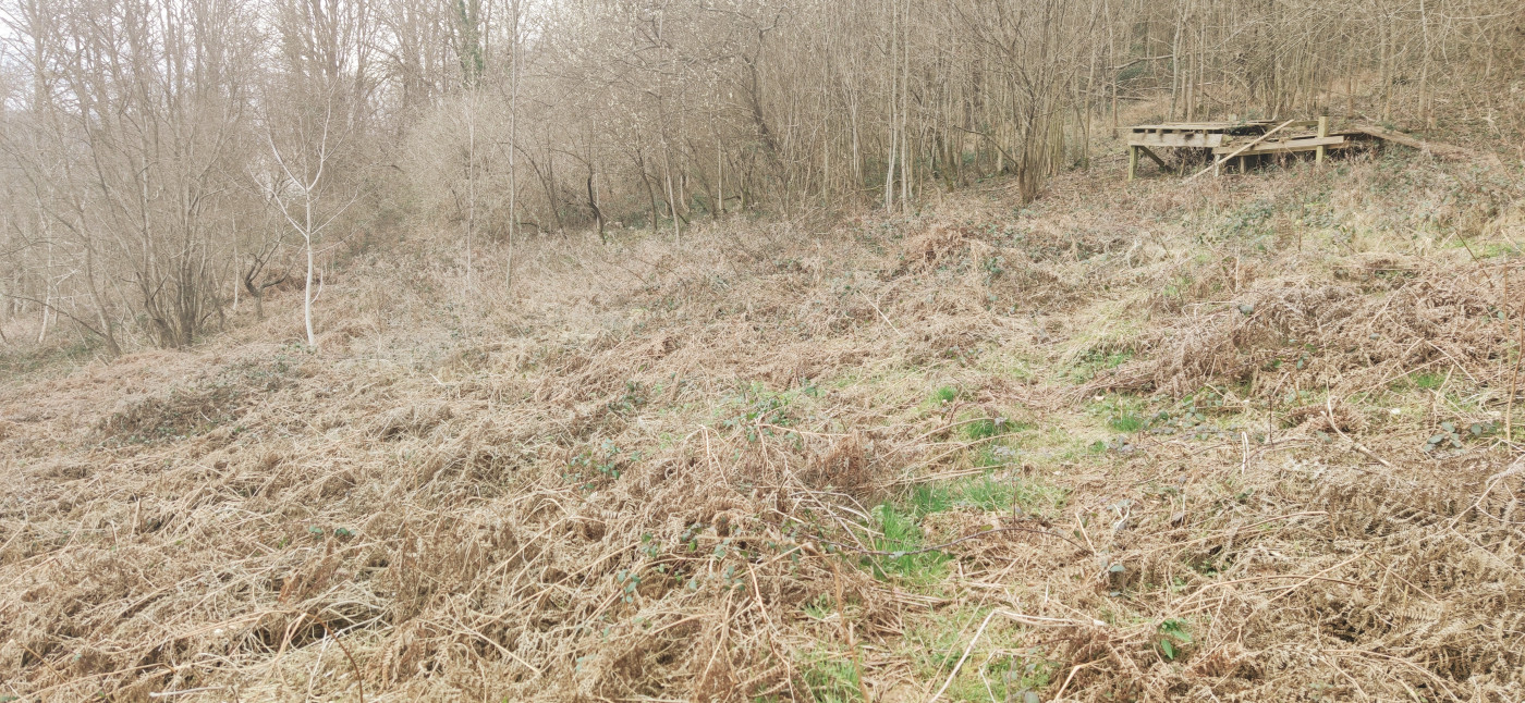 à vendre Terrain de loisir Sentenac De Serou - Photo 1