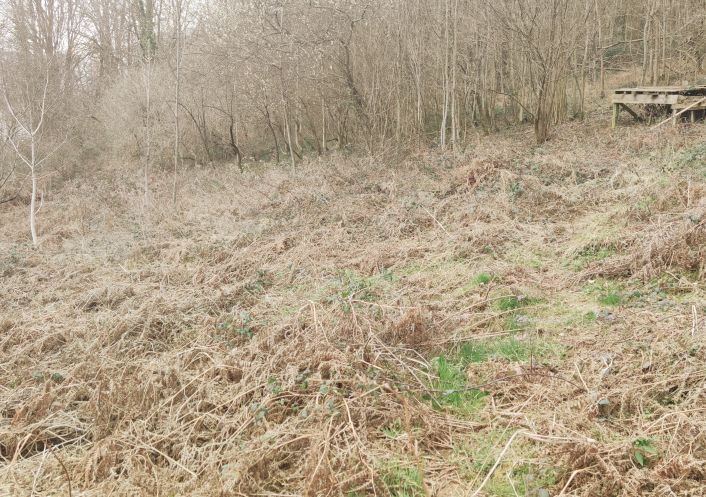 vente Terrain de loisir Sentenac De Serou