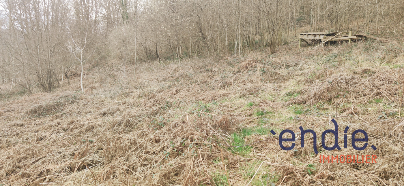 à vendre Terrain de loisir Sentenac De Serou - Photo 2