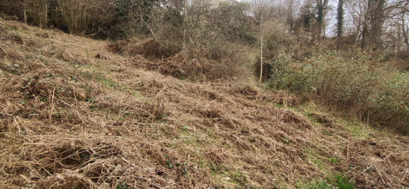 à vendre Terrain de loisir Sentenac De Serou - Photo 3