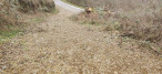 à vendre Terrain de loisir Sentenac De Serou