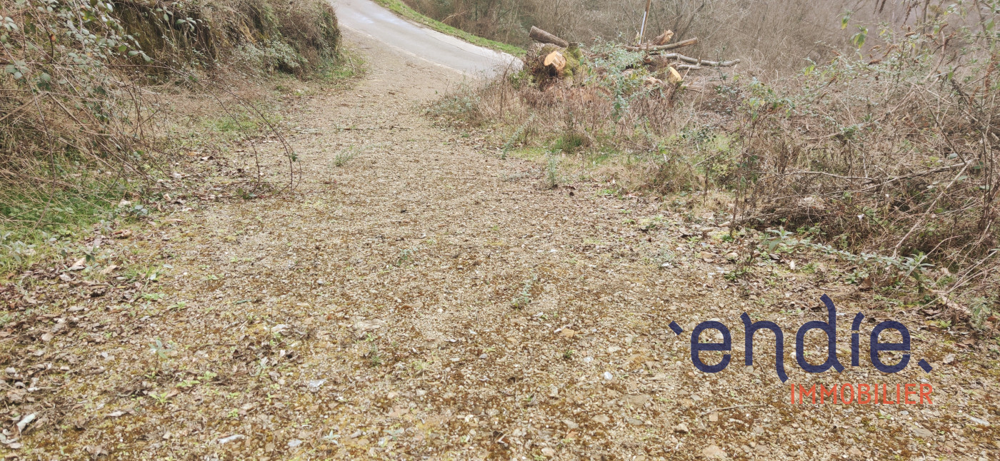 à vendre Terrain de loisir Sentenac De Serou - Photo 8