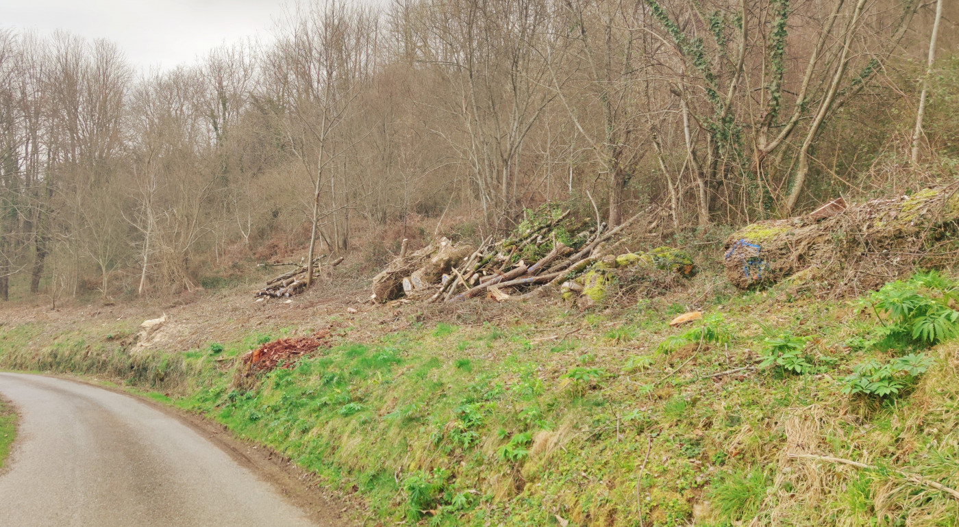 à vendre Terrain de loisir Sentenac De Serou - Photo 9