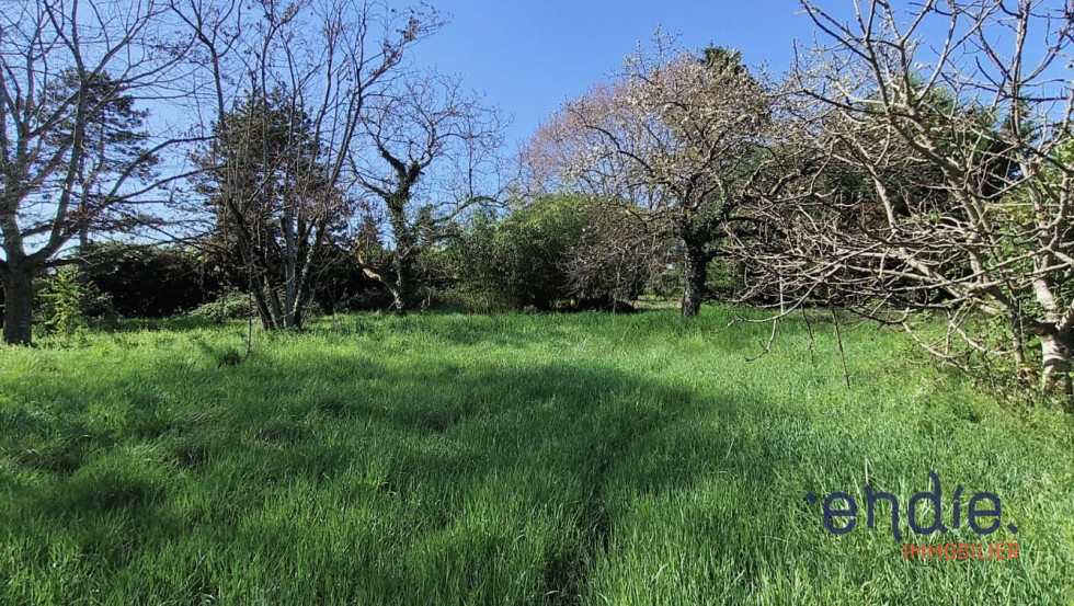 vente Maison Cornebarrieu - Photo 4