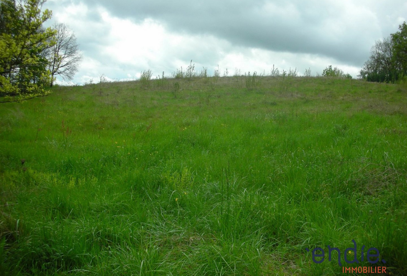 vente Terrain Moissac - Photo 3