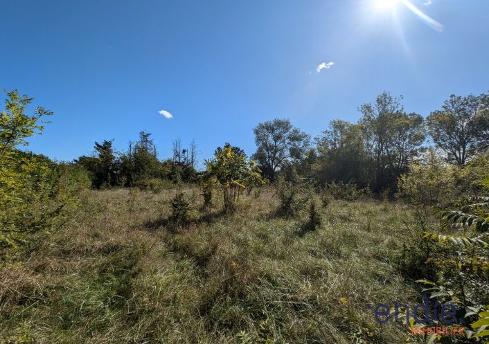 à vendre Terrain Montgaillard Lauragais