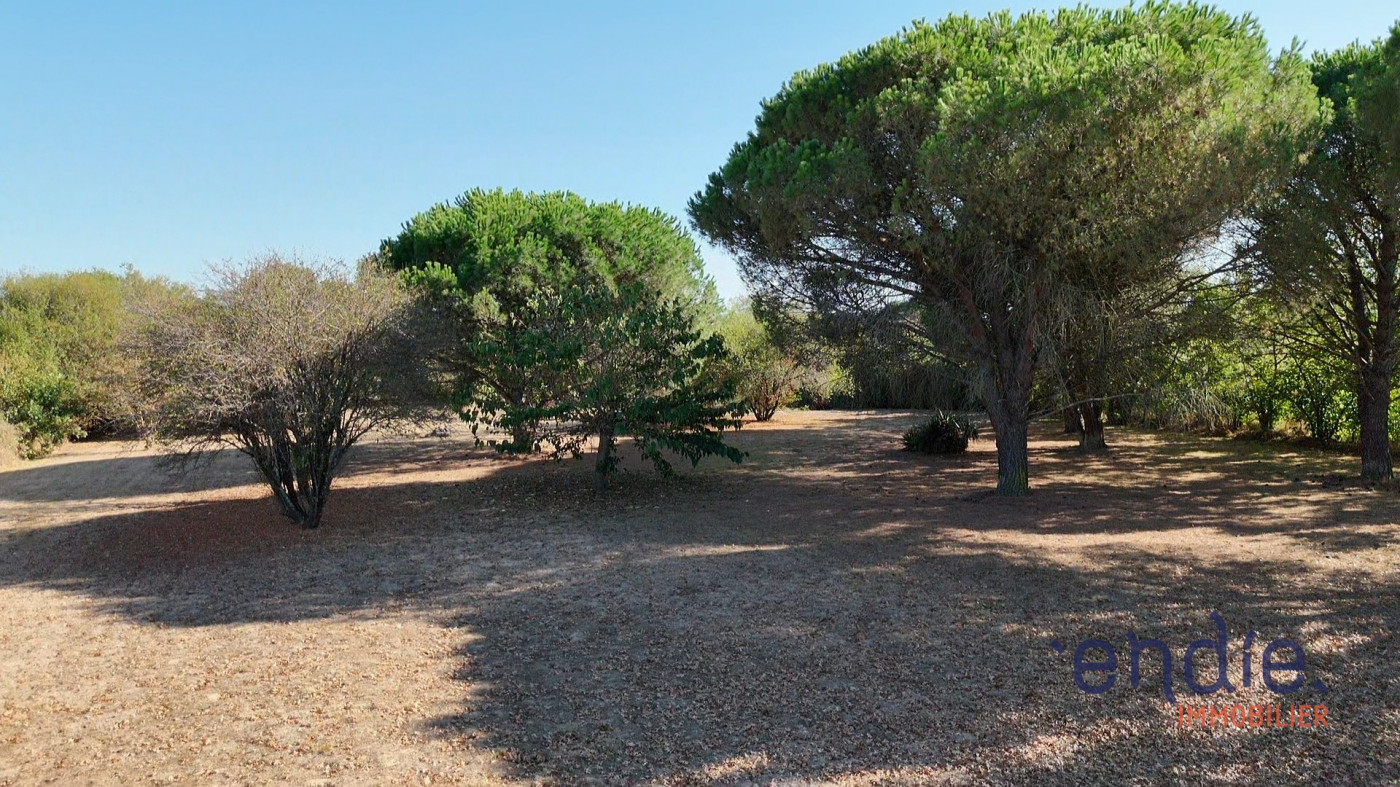 à vendre Maison Grenade - Photo 11