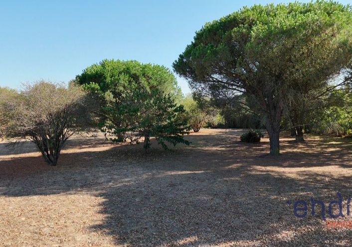 à vendre Maison Grenade