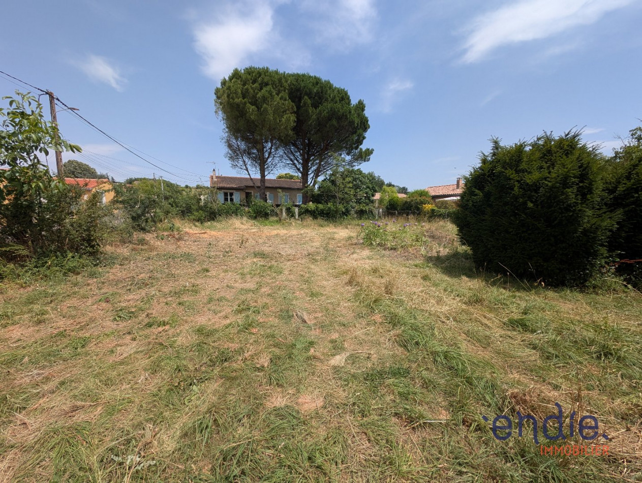 vente Terrain constructible Villenouvelle - Photo 5
