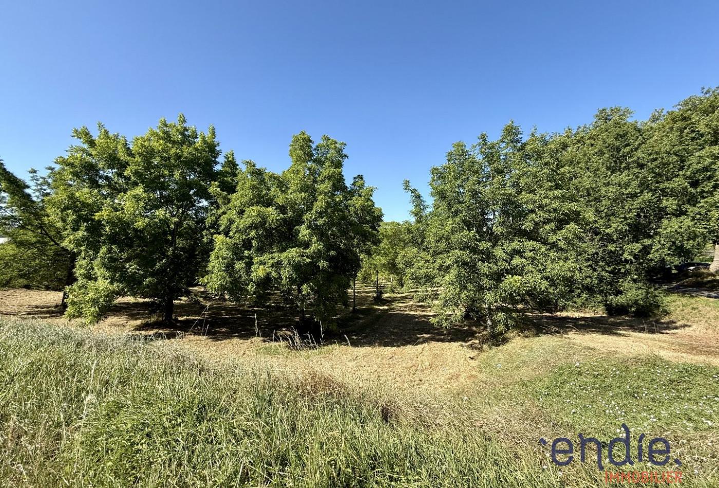 vente Terrain Monclar-de-quercy - Photo 2