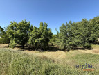 à vendre Terrain Monclar-de-quercy
